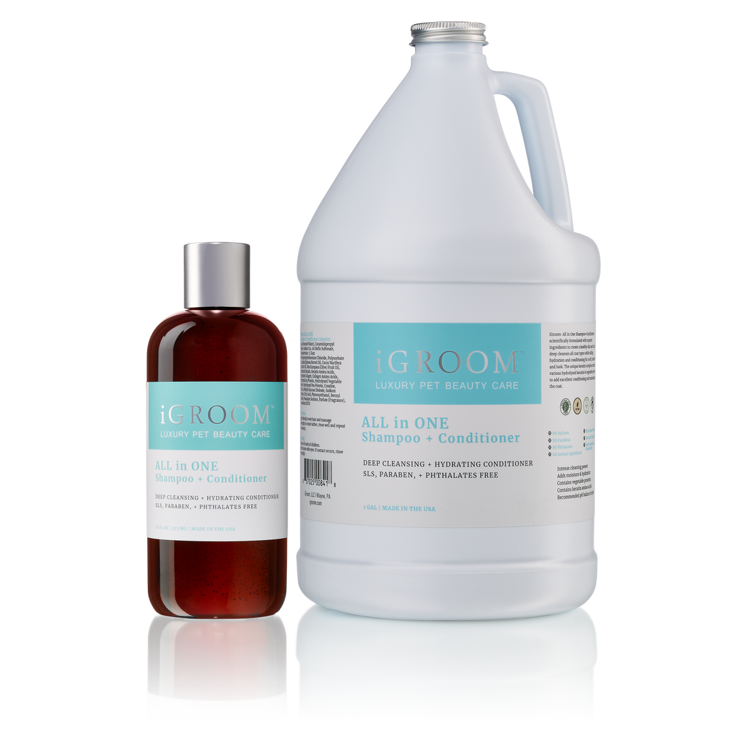 All-In-One Shampoo and Conditioner