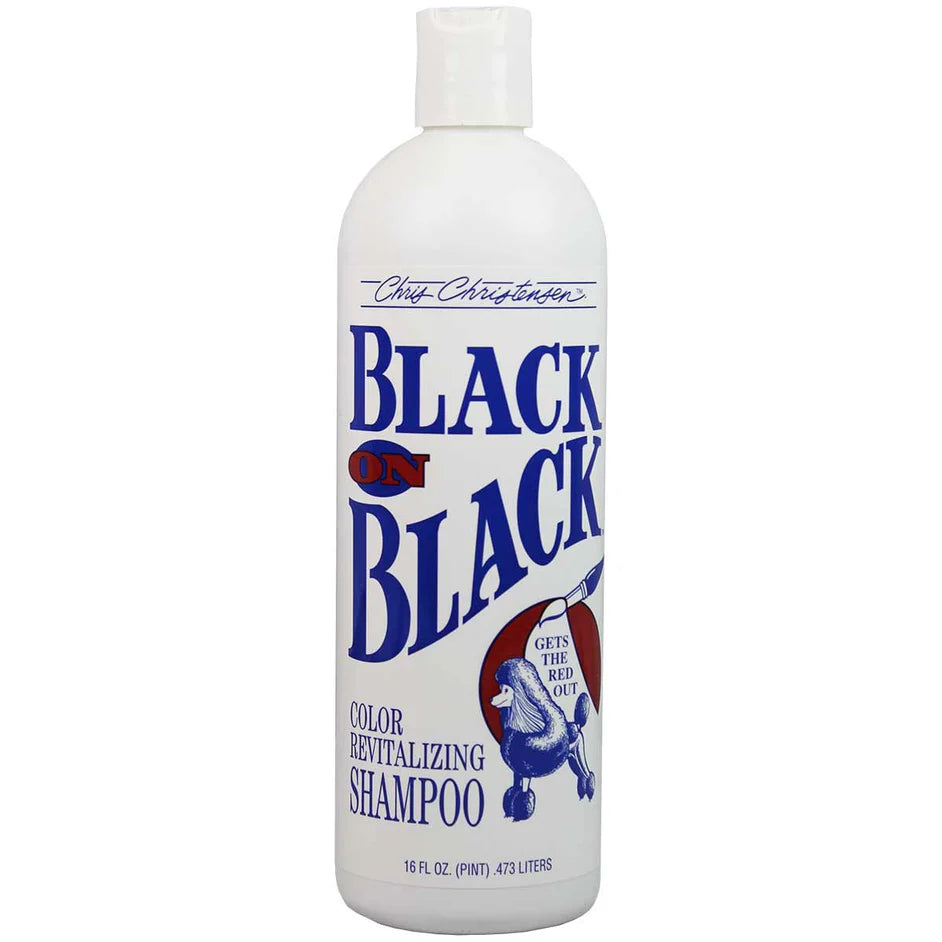 Black on Black Shampoo 16 oz.